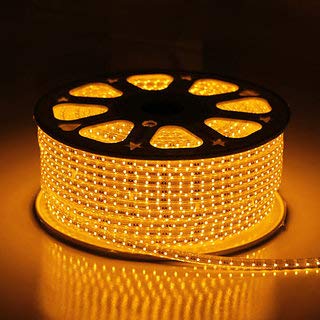 Errol LED Strip Rope Light,Water Proof,Decorative led Light with Adapter. (Warmwhite(Yellow), 5 Meter) - Home Decor Lo