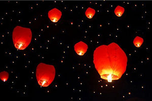 subtle selection Hot Air Balloon Paper Sky Lantern Set of 10 - Home Decor Lo