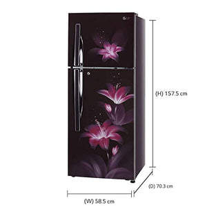 LG 284 L 2 Star Inverter Linear Frost-Free Double-Door Refrigerator (GL-T302RPGU, Purple Glow, Convertible) - Home Decor Lo