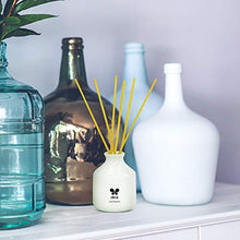 Load image into Gallery viewer, IRIS Reed Diffuser with Ceramic Pot - Lemon Grass - Home Fragrances - Risk-Free - Easy to use - 60 ml - Home Decor Lo