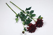 Load image into Gallery viewer, PolliNation Decorative Natural Looking Maroon Dahlia Artificial Flower for Home Decor (Pack of 2, 30 INCH) - Home Decor Lo