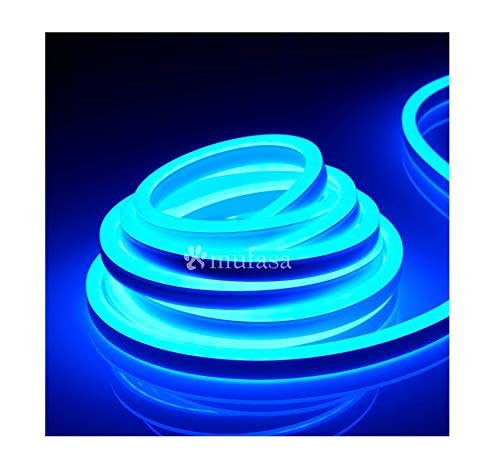 MASUNN 5 M El LED Flexible Soft Tube Fil Neon Glow Voiture Corde Bande  Lumière Xmas Decor DC 12V-Bleu