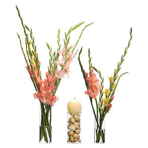 LABZIO Glass Flower Vase (6 inch , 7.5 inch , 10.5 inch, Transparent) - Home Decor Lo