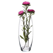 Load image into Gallery viewer, Revinox Botanic Glass Flower Vase (10.5 inch)