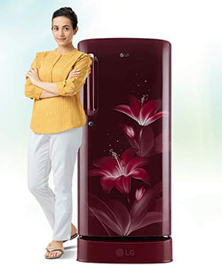 LG 190 L 4 Star Inverter Direct-Cool Single Door Refrigerator (GL-D201ARGY, Ruby Glow, Base Stand with drawer) - Home Decor Lo