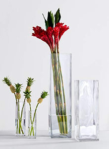 Decent Glass Tall Square Vase Home Decorative Flower Glass Vase Party Table Centerpieces(6"×4"×4") Pack of 1 - Home Decor Lo
