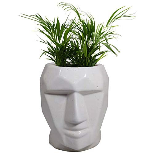 ceramic flower pots india India Meets India Ceramic Flower Vase (6.5 x 3.5 inch, White) – Home Decor Lo