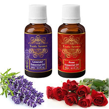 Load image into Gallery viewer, Exotic Aromas Lavender &amp; Rose Essential Oil, Pure and Organic, 15 ml (Pack of 2) - Home Decor Lo
