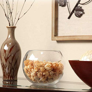 DECENT GLASS Glass Flower Vase (6 Inch, Clear)