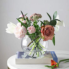 Load image into Gallery viewer, DECENT GLASS Glass Flower Vase (6 Inch, Clear)