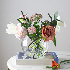 DECENT GLASS Glass Flower Vase (6 Inch, Clear)