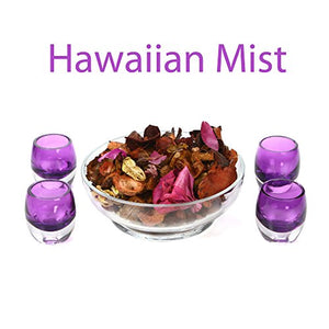 Hosley® 8 Oz Hawaiian Mist Highly Fragranced Potpourri Bag with Free 10ml Refreshing Scented Oil Bottle - Home Decor Lo