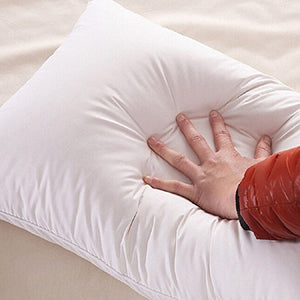 JDX Reliance Polyester Blend Fiber Pillow, White -Set of 2 - Home Decor Lo