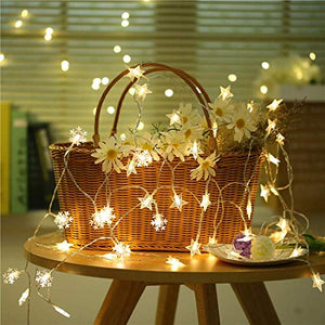 PESCA Snowflakes Light 40 LED with 6 m Length (Warm White) - Home Decor Lo