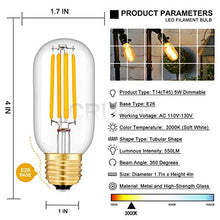 Load image into Gallery viewer, Citra Led Vintage Edison Bulbs,Antique Retro Incandescent Light Bulb 4W Squirrel Cage Filament Light Bulb T45 Classic Amber Glass E26/E27 Medium Base Dimmable (2 Pack) - Home Decor Lo