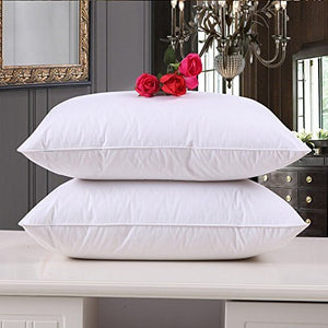 Clasiko Microfiber Cushion Fillers (16x16-inches, White) - Pack of 2 - Home Decor Lo