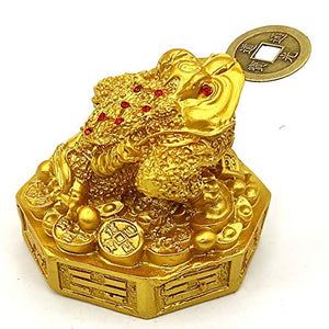 Plusvalue Fengshui Lucky Three Legged Feng Shui Money Frog Toad for Good Luck, Wealth, Prosperity, Success, Happiness (Golden Colour) - Home Decor Lo