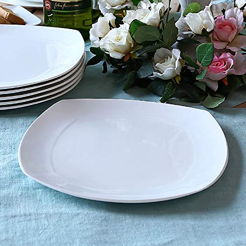 Clay Craft Basics 10 Inches Plain Square Shape Bone China Dinner Plate Set of 4 - Home Decor Lo