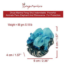 Load image into Gallery viewer, Divya Mantra Feng Shui Indomitable Powerful Animals Pair Elephant and Rhinoceros for Protection Against Violent 7 Star - Home Decor Lo
