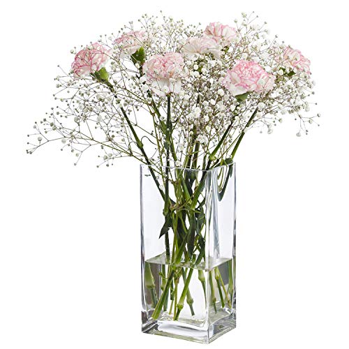 Decent Glass Tall Square Vase Home Decorative Flower Glass Vase Party Table Centerpieces(6
