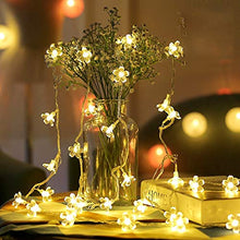 Load image into Gallery viewer, Techno E-Tail Blossom Flower Fairy String Lights, 20 LED Christmas Lights for Diwali Home Decoration (Warm White) - Home Decor Lo