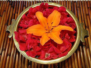 AN Handicrafts Decorative Antique Brass Urli Bowl for Flowers and Candles Traditional Floating Pot Handicraft Home Decor Center Showpiece for Diwali , House Warming (8 inch diameter) - Home Decor Lo