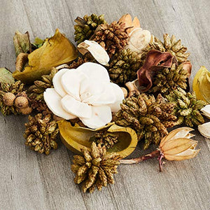 Home Centre Redolance Dried Leaves & Flowers Potpourri Box - Green - Home Decor Lo