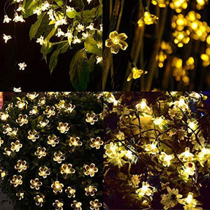 25 LED 4 Meter Blossom Flower Fairy String Lights