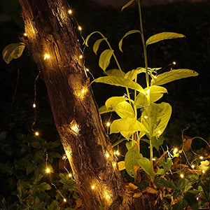 Xergy 10M 100 Led Powered by Battery Box and Remote and 8 Mode Functions Copper Wire Led Fairy String Lights Valentine Decoration (Warm White) Christmas Tree Decoration Lights Festival Rice Light - Home Decor Lo