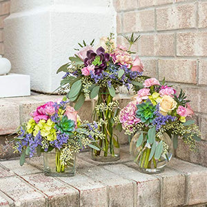 Incrizma Glass Flower Vase (25 cm, Clear) - Home Decor Lo