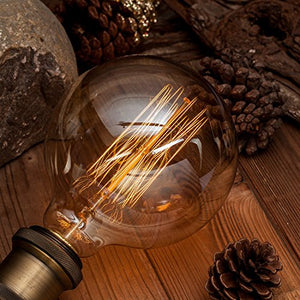 Citra Vintage Edison Bulbs,Antique Retro Incandescent Light Bulb 40W Squirrel Cage Filament Light Bulb G80 Classic Amber Glass E26/E27 Medium Base Dimmable (2 Pack) - Home Decor Lo